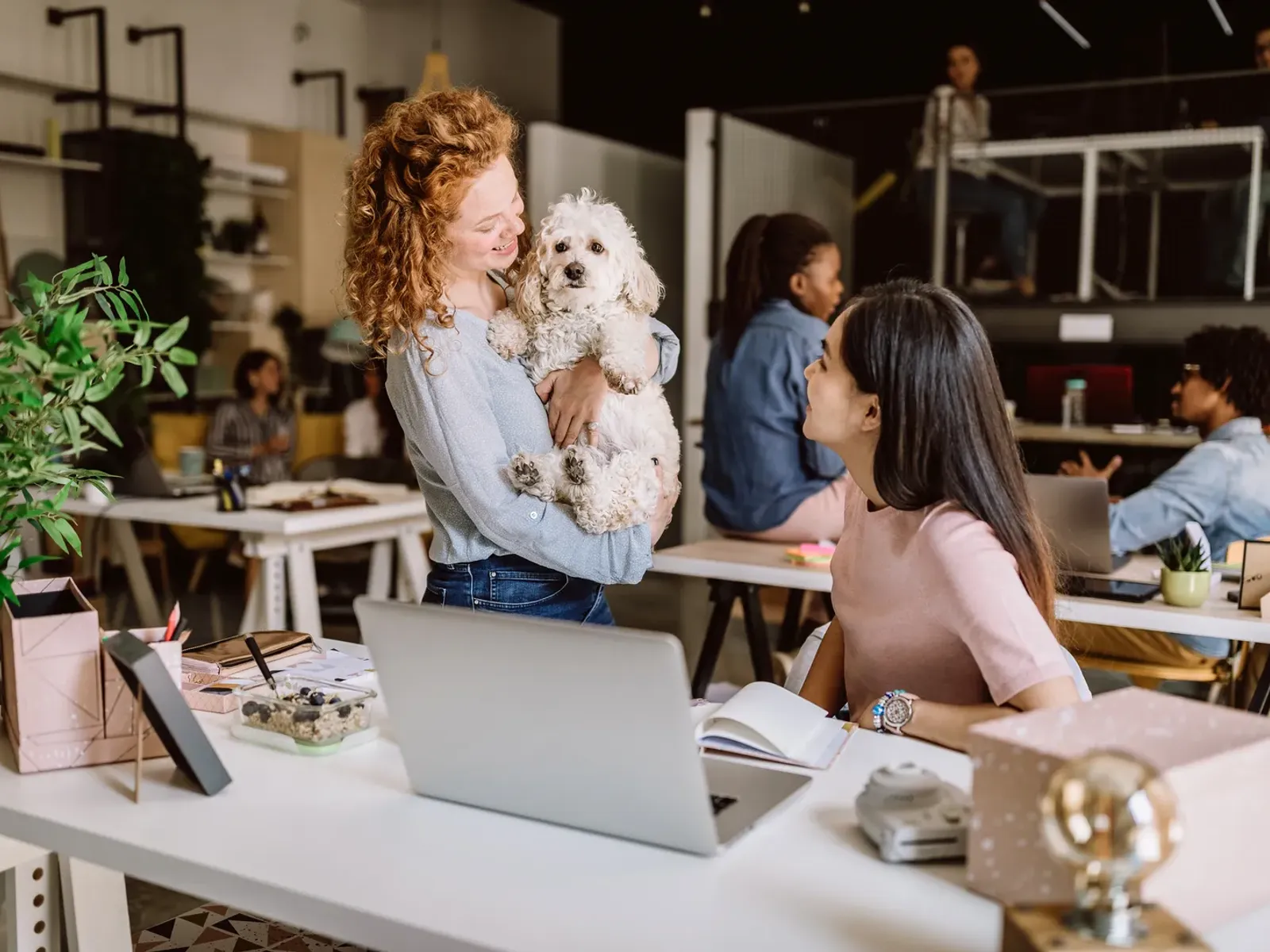 Woman holding a dog in a modern office setting