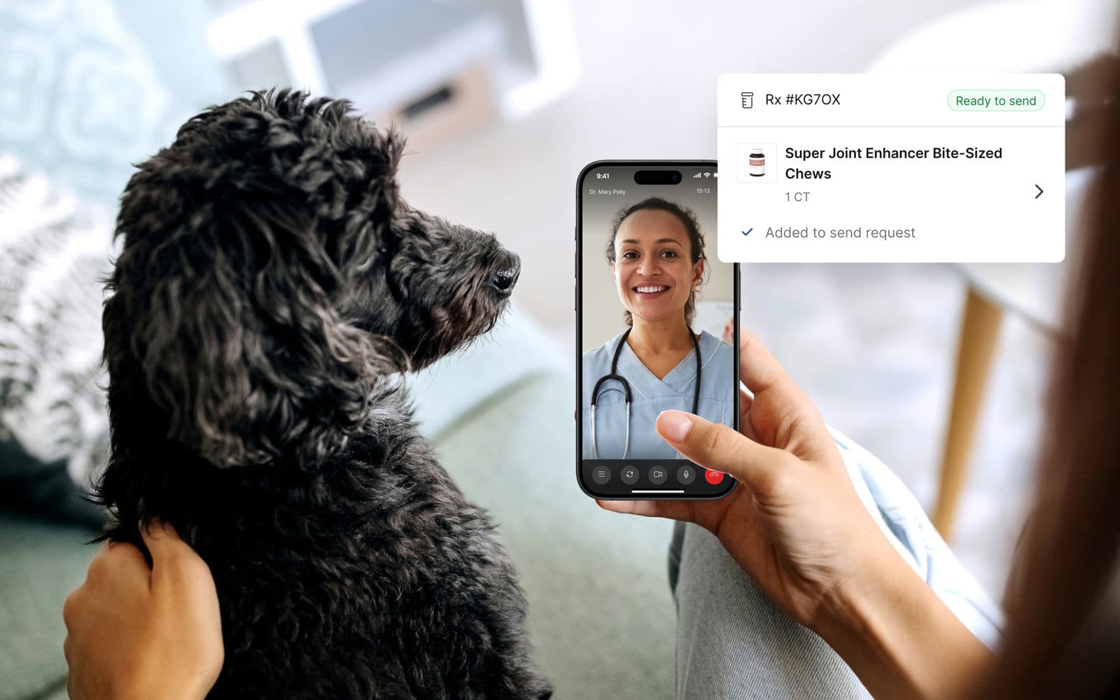 Virtual appointment