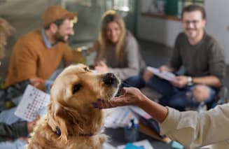 Woman petting a dog in a meeting