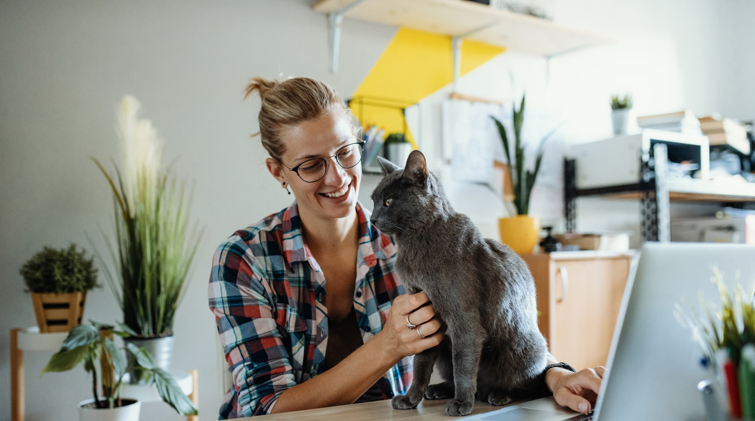 Woman working with a cat